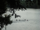 2011