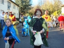 Karneval Heide 2011_12