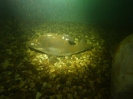 Wasserspeicher Duisburg 25.03.2012