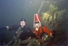 2000
